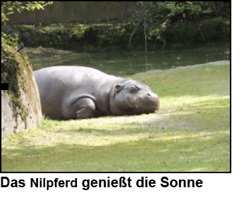 Gaia Zoo