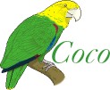 Coco