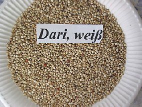 Dari, wei