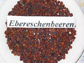 Ebereschenbeeren