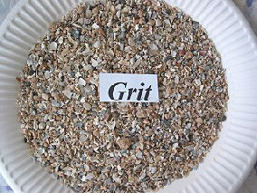 Grit