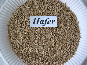 Hafer