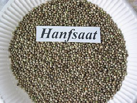 Hanfsaat