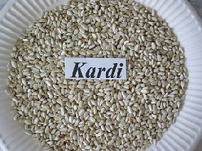 Kardi