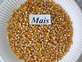 Mais