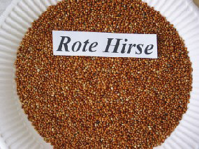 Rote Hirse