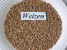 Weizen