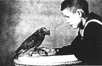 Mein Lorchen